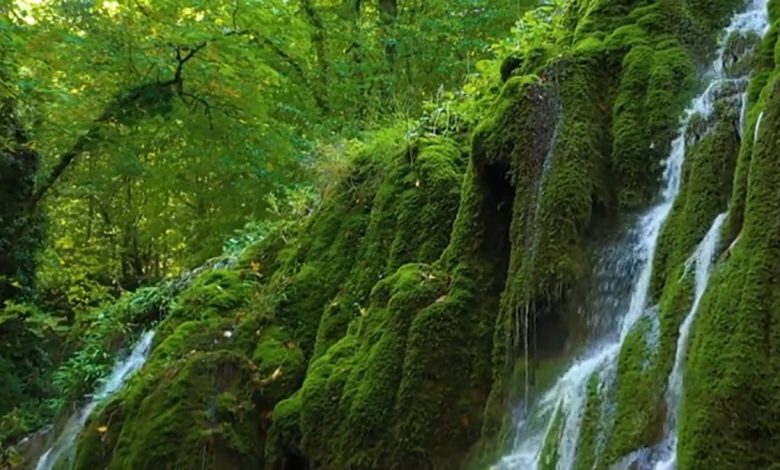 استان مازندران