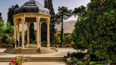استان فارس