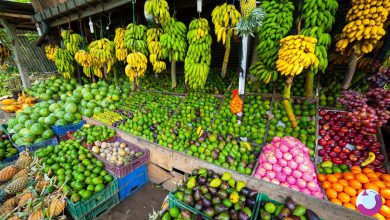 عجیبترین میوه های استوایی در سریلانکا