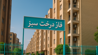 محله درخت سبز بندرعباس